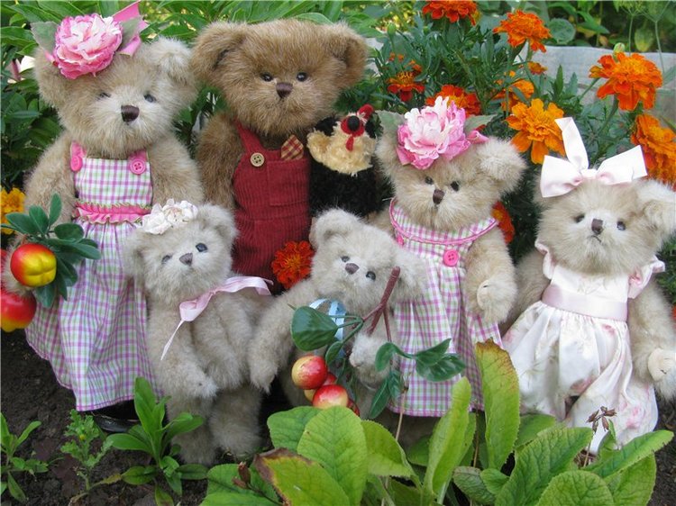 Моя семейка плюшевых мишек Bearington