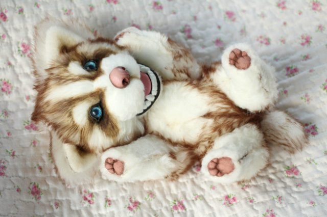 Шоколадный хаски Тофи | Бэйбики Шоколадный хаски Тофи — Авторские мишки Тедди и друзья: фото (фото 6)