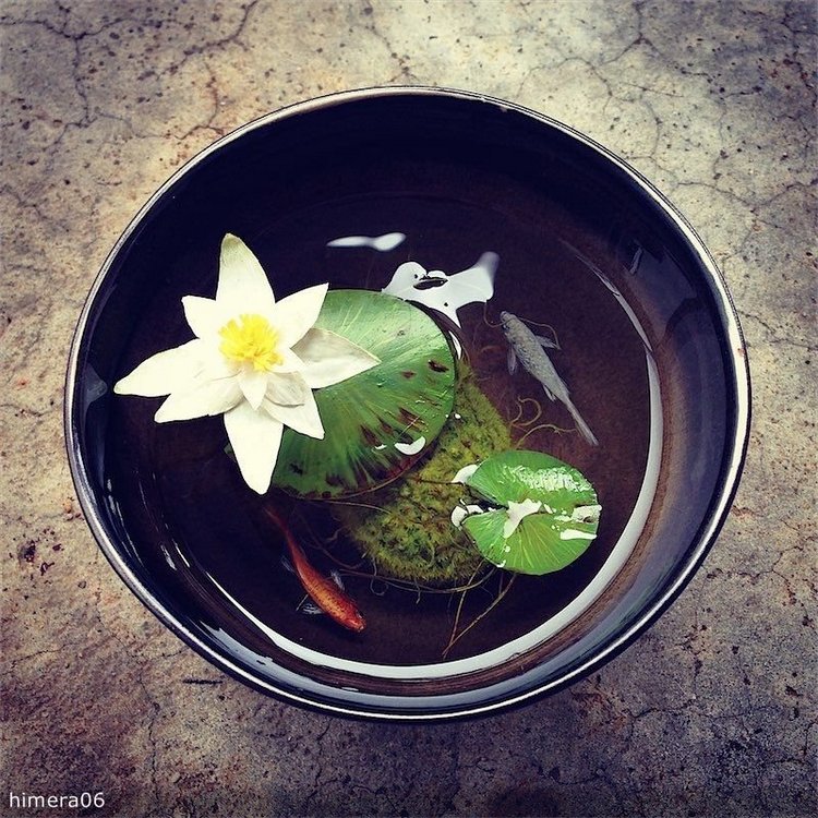 Живопись акрилом и лаком от Кенга Лая (Keng Lye)