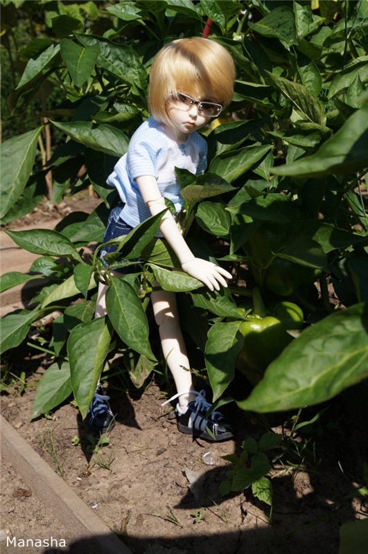 Как Женька провел лето 2014 года... Benjamin от LeekeWorld