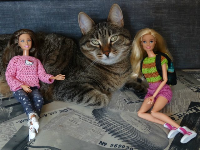 Дети, котики и куклы - наши главные радости (фото 4)