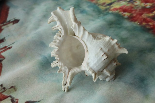 Игрушки детства — Игрушки СССР и советского детства: резиновые