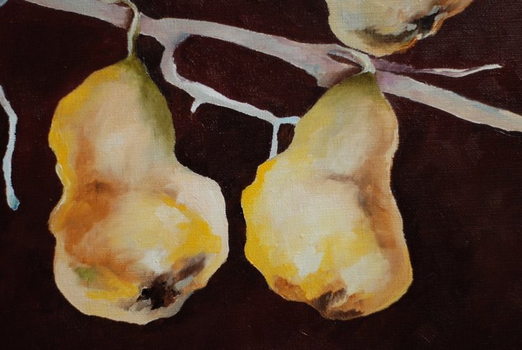 Некукольные новости 3 — Другие хобби и увлечения: сад (фото 6)