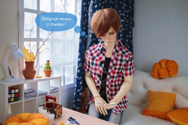 Гость — Фотоистории с куклами BJD (БЖД): сериалы (фото 7)