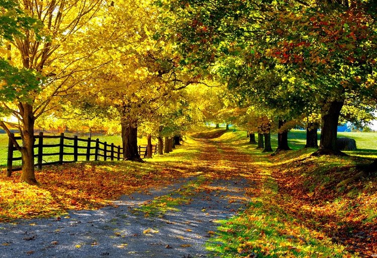 Красотка-осень — Болталка и разговоры обо всем: жизнь