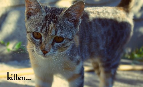 "Я слышу... этот волшебный звук природы!" - Moxie Teens, Tristen (Мокси Тинс, Тристен) (фото 10)