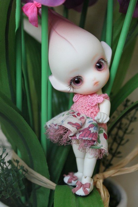 Последний Цветочек-Do, в моей Доллзоновской клумбе (фото 9)