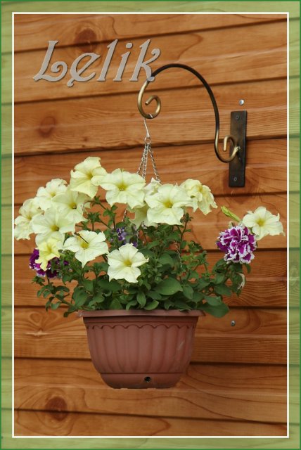 Цветочный рай, или новый наряд Ульяны (Pipa 2003 года, Gotz) | Бэйбики Цветочный рай, или новый наряд Ульяны (Pipa 2003 года, Gotz)