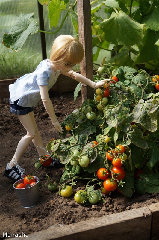 Как Женька провел лето 2014 года... Benjamin от LeekeWorld