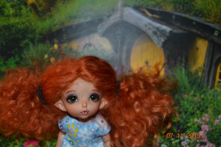 Такие чудные ПукиФи - наш новый член семьи (фото 4)