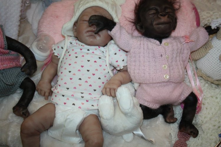 Выставка кукол, мишек тедди, кукольных домиков и миниатюры в Нидерландах. Заключение