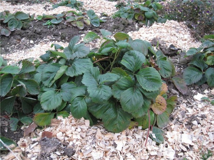 Кирюша. Игровой испанский малышок, фирма Arias