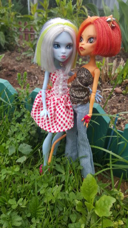 Вспомним про Монстров — ООАК Monster High и Ever After High: репейнт