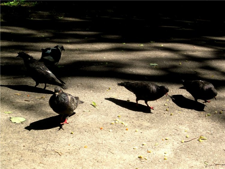 Воспоминания о детстве — Советские винтажные куклы (СССР): Ленигрушка