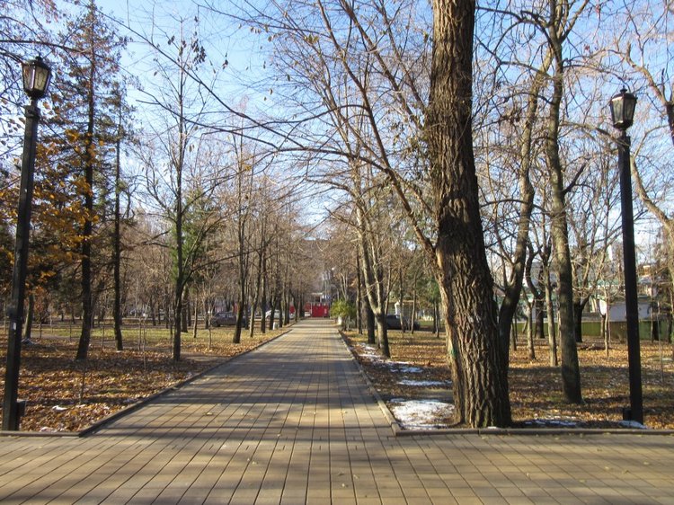Утренняя прогулка в парке Горького с Соломоном и Анхен, или О сложностях гуляния с собакой и куклой одновременно