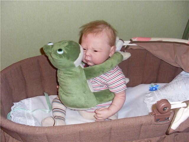 Как на нас напала ...жаба (фото 4)