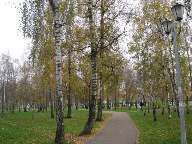 Неожиданная находка! Элис, PukiFee Ante