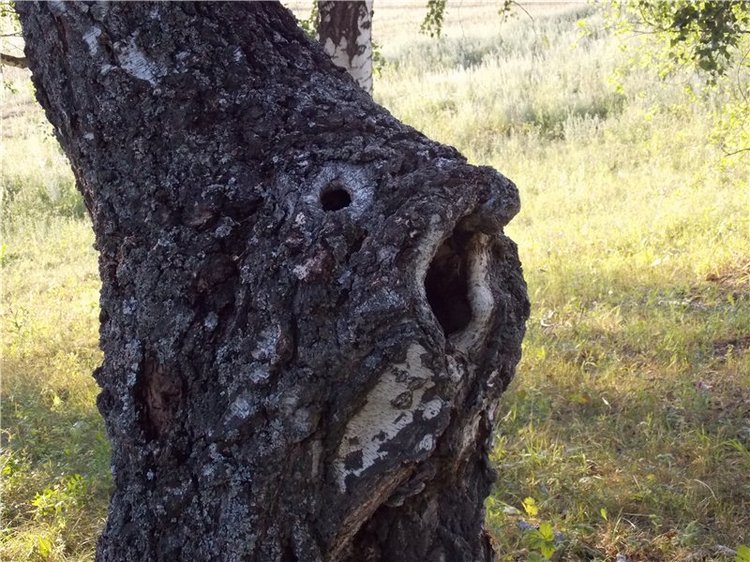Геля в Мурадымовском ущелье (фото 7)