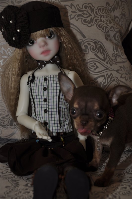 Приехала моя первая МСД девочка Иззи. Хотим познакомиться (фото 9)