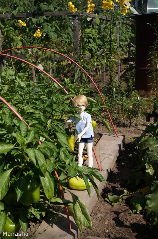 Как Женька провел лето 2014 года... Benjamin от LeekeWorld