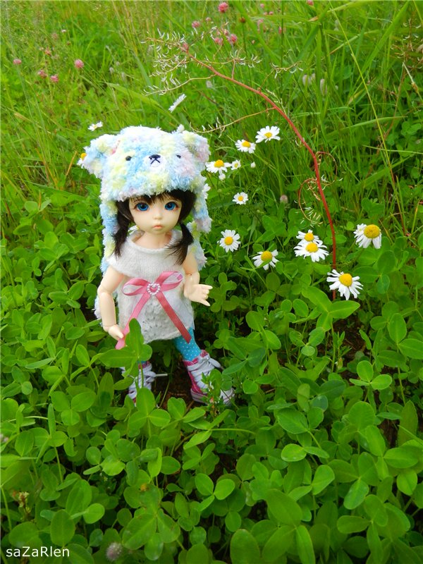 Варвара путешевственница (Литтлфи Анте)