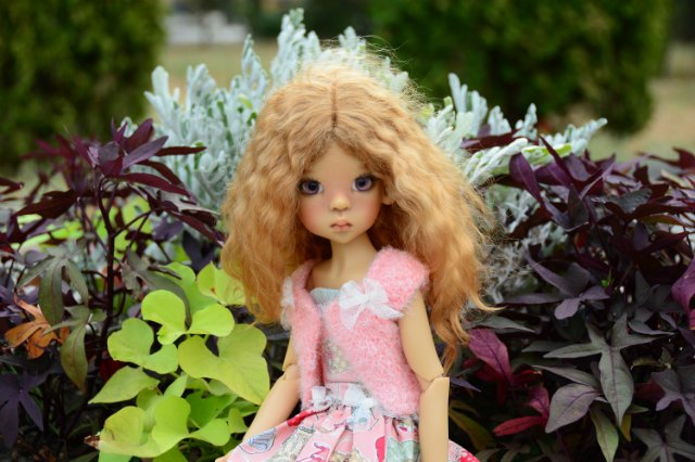 Лайла - фотопрогулка в парке. Layla от Kaye Wiggs