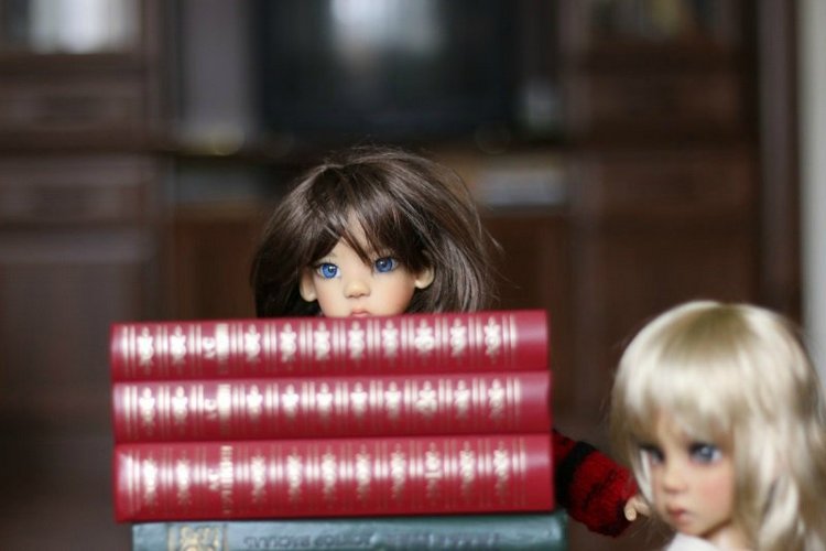 Куклы Кае Вигс и любовь к чтению (фото 7)