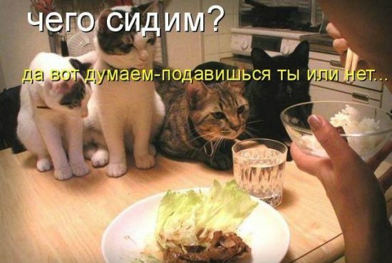 Просто добавь улыбку или пятничный девиз
