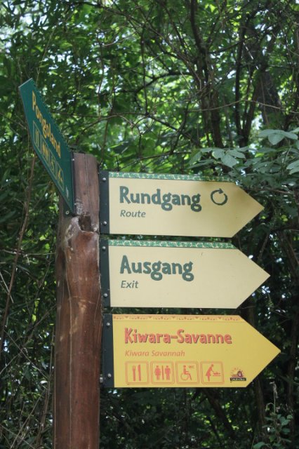 Сказка о Мишеле, BJD часть 2