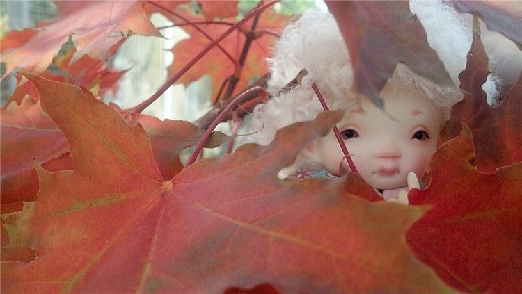 Мое первое Бжд чудо — Куклы Irrealdoll (Ирреалдолл): BJD (БЖД) (фото 2)