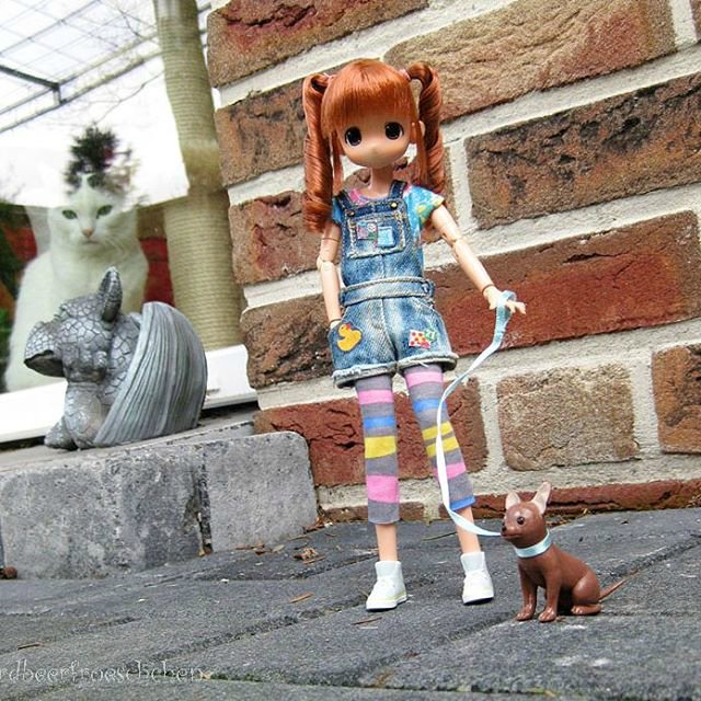 Мои любимые фото куколок mamachapp