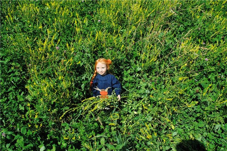 В твоей улыбке прячутся мечты... О, милый рыжик, кто же ты