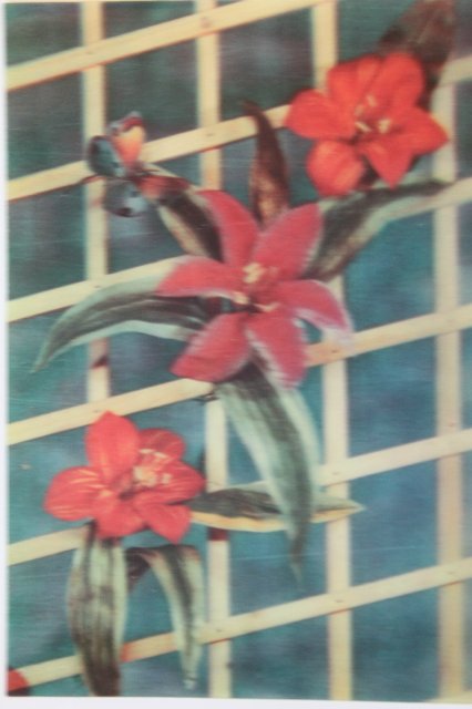 Моя коллекция объёмных открыток:) | Бэйбики Моя коллекция объёмных открыток:)