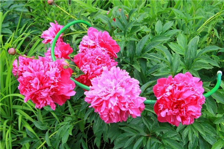 Кашин - город русского сердца. Часть седьмая. Вознесенский кафедральный собор