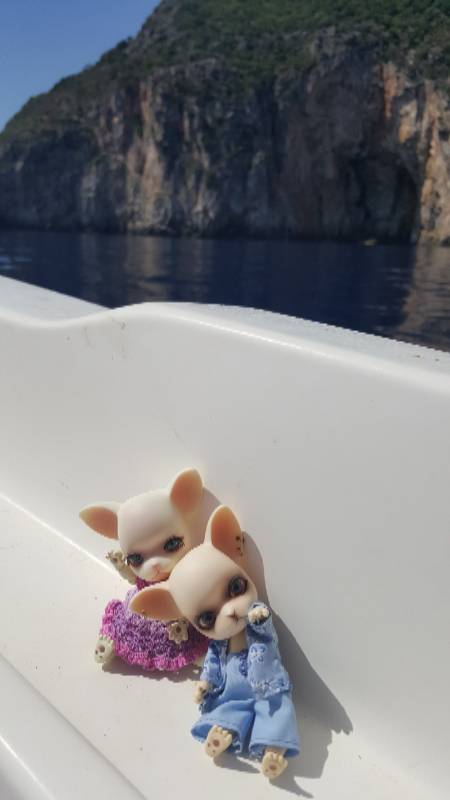 Новое путешествие Панг-Панга