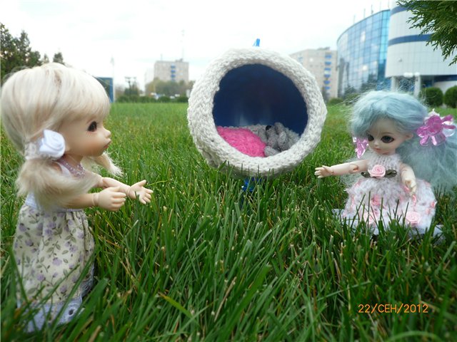 Сосенка Пин. Уютное гнездышко (фото 6)