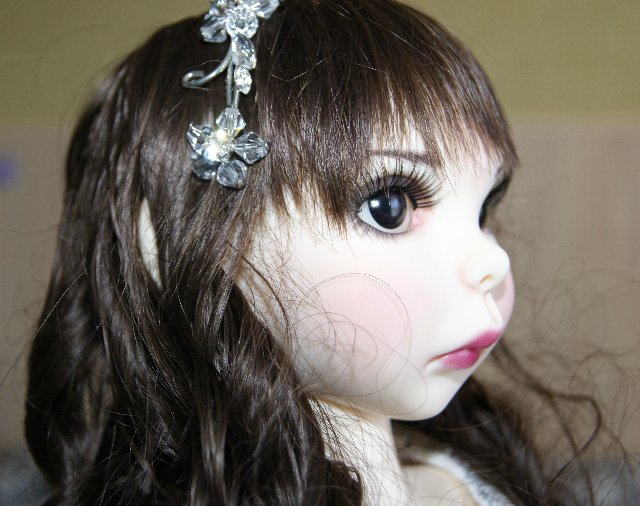 Мои красавицы куклы от волшебной, непостижимой KIM LASHER