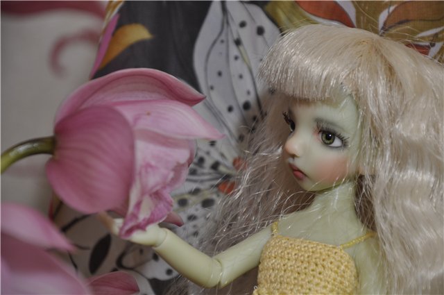 Пополнение в семействе Коричек-KW Cinnamon Green Elf!Седьмой тиник от Кайи и первый эльфик с копытцами)