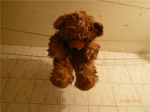 Машенька. Наша плюшевая находка (фото 4)