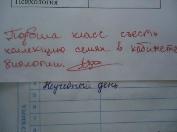 О веселом! Шедевры школьных дневников) Осторожно! очень смешно)