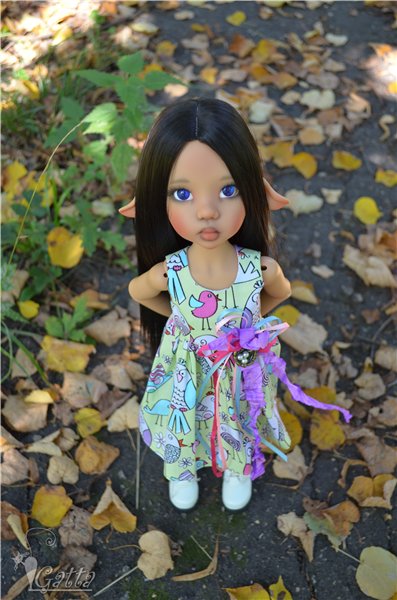 Моя Ларисса. Kaye Wiggs Laryssa