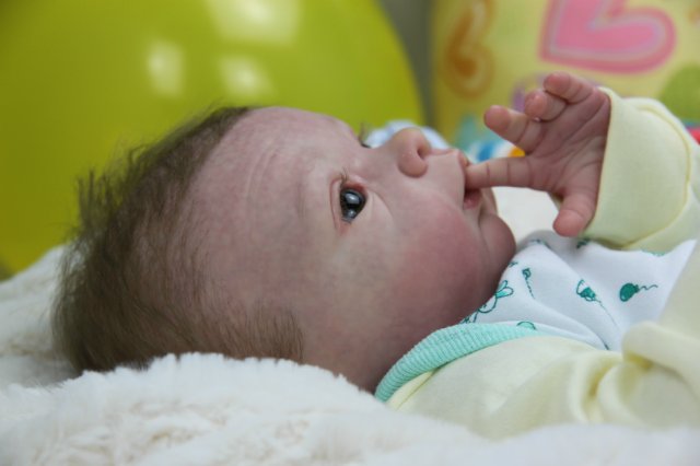 Софийкин! Кукленок реборн Виктории Вишни