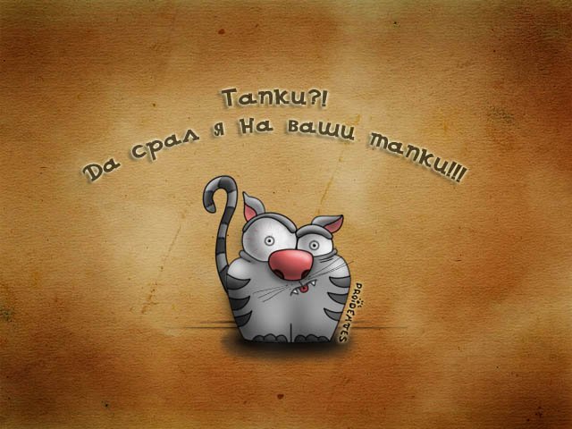 Кошачий позитив — Интересное и необычное: фотоподборки