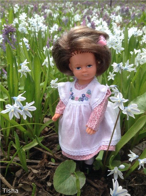 Маленькие садовники или весна в Аптекарском огороде