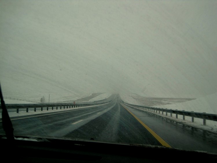 Путешествие к морю. Коллекционная кукла Фрося. Flori, Rolanda Heimer, Schildkrot (фото 3)