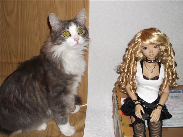 Я назвала её - Лёля! Куколки БЖД от Iplehouse | Бэйбики Я назвала её - Лёля! Куколки БЖД от Iplehouse (фото 4)