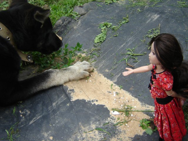 Компромисс: моя первая БЖД: Люси - Senson doll, в гостях на даче