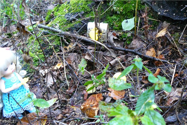 Осенняя сказка. Часть 3(заключительная). PukiFee Ante Ариэтти, PukiFee Bonnie Ариэль | Бэйбики Осенняя сказка. Часть 3(заключительная). PukiFee Ante Ариэтти, PukiFee Bonnie Ариэль (фото 9)