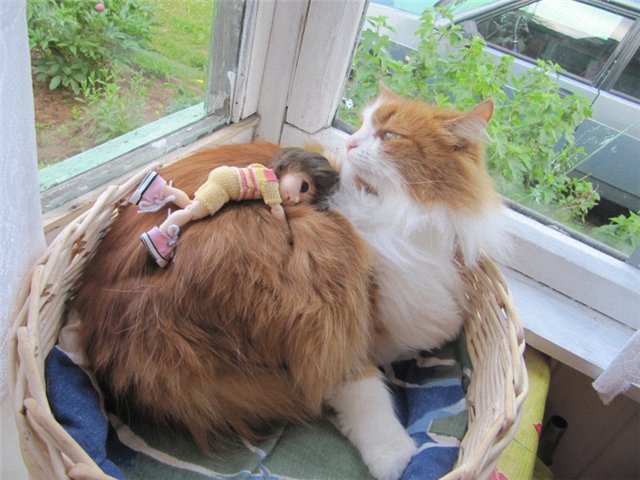 Воспоминания о лете. Куклы БЖД | Бэйбики Воспоминания о лете. Куклы БЖД