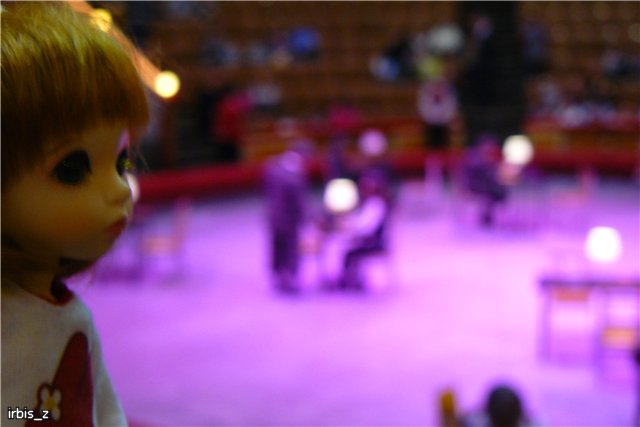 Вот так чудеса или как Ариэль в Большой Московский Цирк ходила. PukiFee Ante Ариэтти, PukiFee Bonnie Ариэль